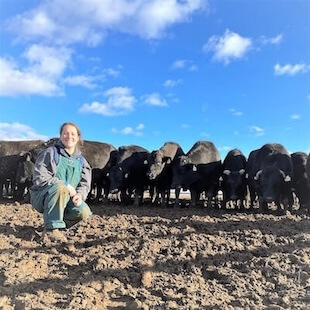 Cattle Services