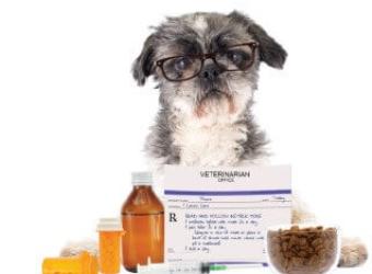 FDA Guidance #263