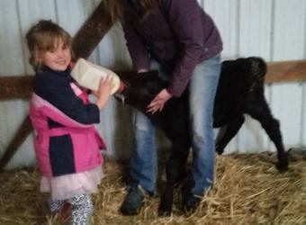Colostrum Tidbits